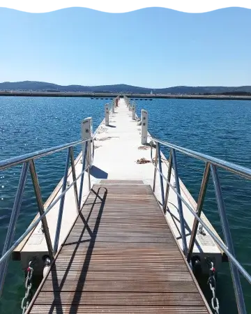 Molum Marine Citylight Mobile Transparent